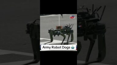 Watch the US Army robot dogs at the DC military parade