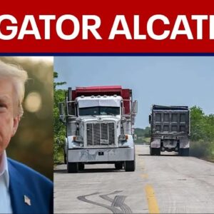 WATCH: Trump visits 'Alligator Alcatraz'