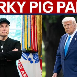 'Porky Pig Party': Elon Musk slams President Trump's mega tax bill, calls for a new party