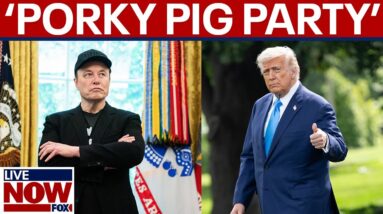 'Porky Pig Party': Elon Musk slams President Trump's mega tax bill, calls for a new party